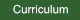 Curriculum