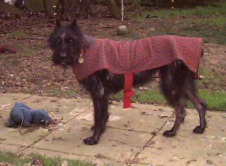 Princess wearing her protective red and green plaid coat.