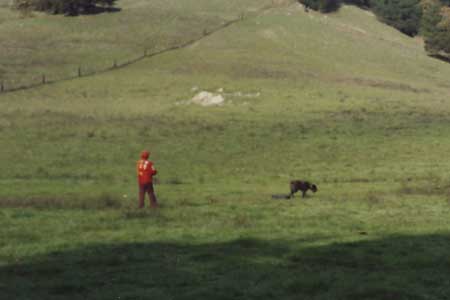 a photograph of me and bones tracking at Marin, taken just after he earned his TD.