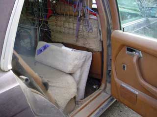 dog stairs stored inside the  car.