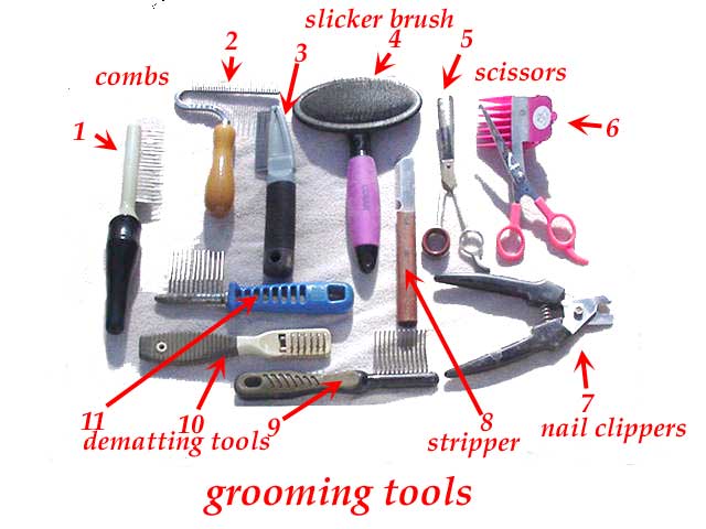 basic grooming tools