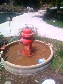 fire  hydrant fountain