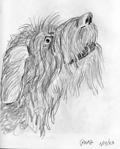 A portrait drawing of my precious puppy Keya in side view