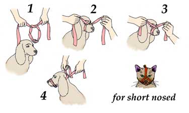 how to tie a muzzle on