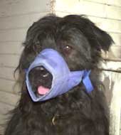 nylon cloth muzle used by vets and groomers
