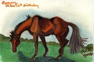 Oil pastel  of my horse Sunny, on his 12th birthday. 