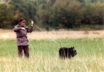 Photo of tracking handler re-starting the dog after the dog has delivered a found article.