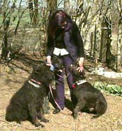 Freddie sitting at right, Hazel left, Max behing