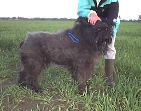 side view of Mijoux at intake.