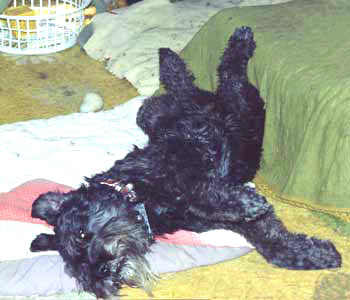 Sweetie's yoga twist Sweetie's yoga twist